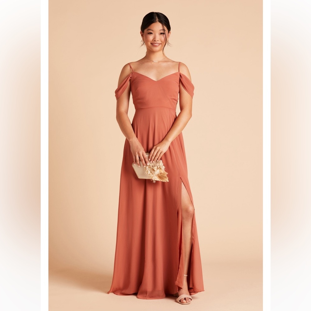 Birdy Grey Devin Dress in Chiffon Terracotta